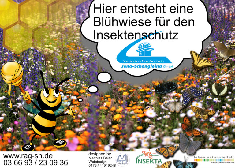 Blühwiese auf dem Flugplatz Jena-Schoengleina